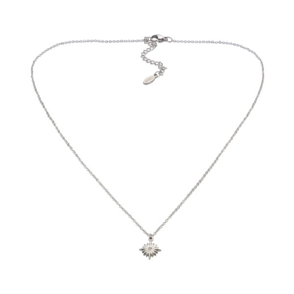 Collier Acier Inoxydable - Bleu Turquoise